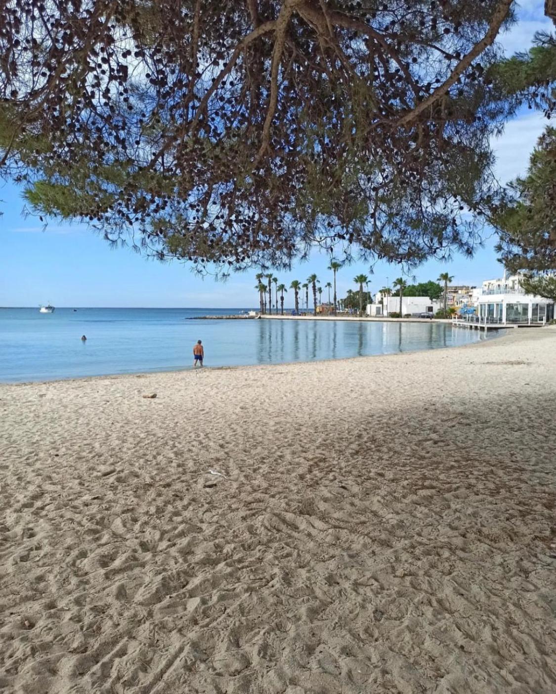 Viva Vista Mare Trilo Primo Piano Apartment Porto Cesareo Luaran gambar